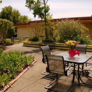 A tranquil patio with a table and chairs surrounded by lush greenery and blooming flowers.