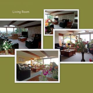A collage showcasing a well-decorated living room with ample natural light and vibrant plants.