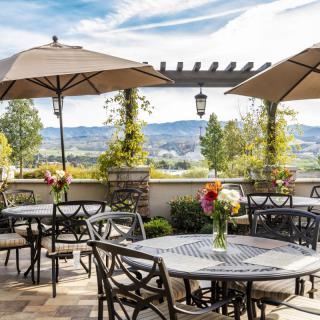 A scenic outdoor patio with tables, chairs, and umbrellas overlooking a vineyard.