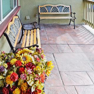 A sunny patio with two benches and a vibrant arrangement of flowers.