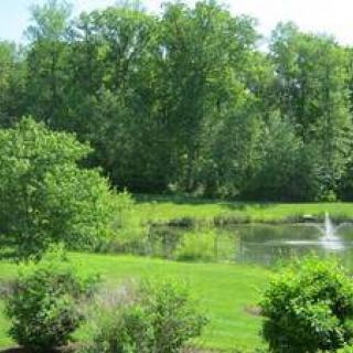 A serene landscape featuring a lush green lawn, a pond with a fountain, and dense trees in the background.
