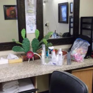 A hair salon station featuring a mirror, styling products, and a decorative cactus plant on the countertop.