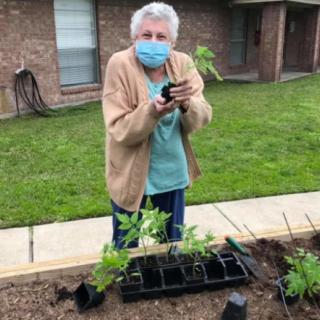 A senior person wearing a mask is gardening outdoors, holding small plants in front of a building.