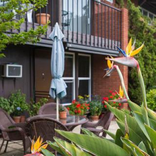 A cozy patio with garden furniture and vibrant flowers next to a building with a balcony.