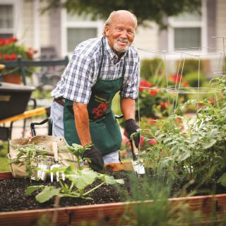An elderly man enjoys gardening in a lush outdoor garden.