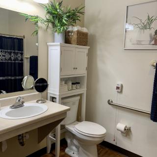 A clean and organized bathroom with a sink, toilet, and storage cabinet, decorated with plants.