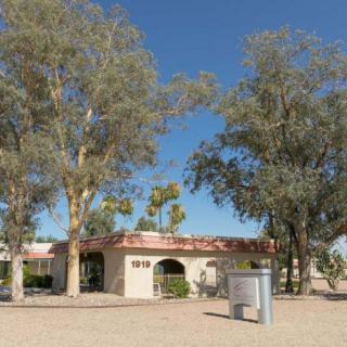 A house surrounded by desert vegetation and palm trees under a clear blue sky.