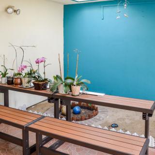 A cozy indoor garden with benches and a variety of potted plants, including orchids, set against a blue accent wall.