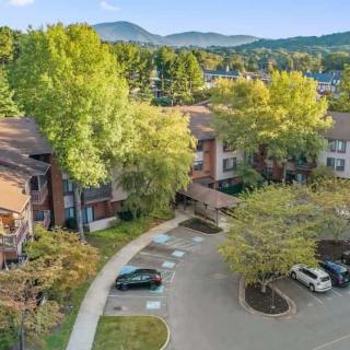 Aerial view of a residential building surrounded by trees with mountains in the background.