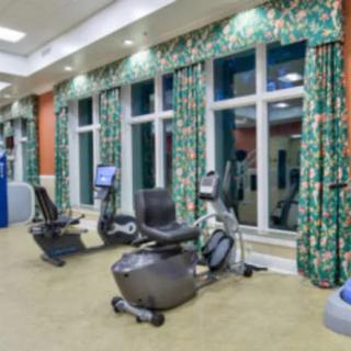 A well-equipped gym with cardio machines and large windows.