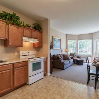 An open-concept apartment interior featuring a kitchen and living room, with wooden cabinets and a cozy seating area.