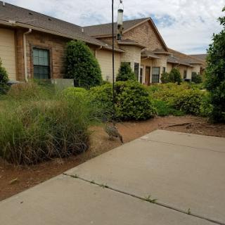 A well-maintained residential landscape featuring various plants and a concrete pathway.