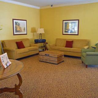 A cozy living room with yellow walls, featuring two sofas, a coffee table, and decorative elements.