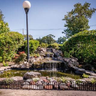 A serene garden featuring a cascading waterfall and a tranquil pond surrounded by lush greenery.