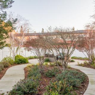 A serene garden pathway with lush greenery and shrubs.