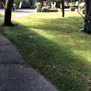 A serene outdoor space featuring a well-maintained lawn and winding pathway, surrounded by trees and garden seating.