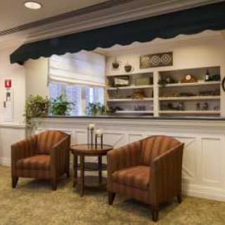 A cozy reception area featuring two comfortable chairs and a side table, adorned with plants and decorative shelves.