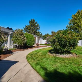 A sunny pathway winding through a well-maintained garden with lush greenery.