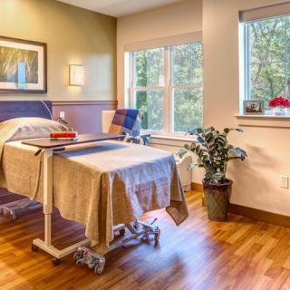 A bright and clean hospital room with a bed, large windows, and plants.