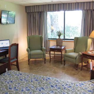 A cozy hotel room featuring a bed, seating area with two chairs, a desk, and natural light from the window.