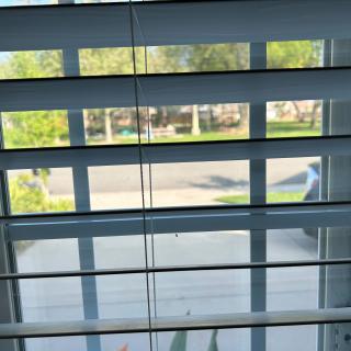 View through window blinds showing a sunny street and trees outside.