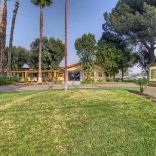 A well-maintained lawn with palm trees and other trees surrounding a building on a sunny day.