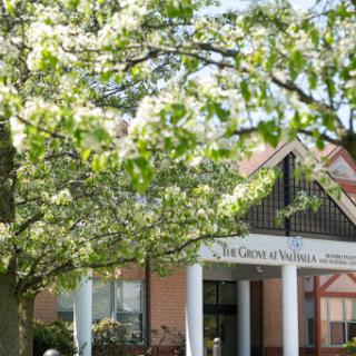 A charming building surrounded by blooming trees, capturing the essence of spring.