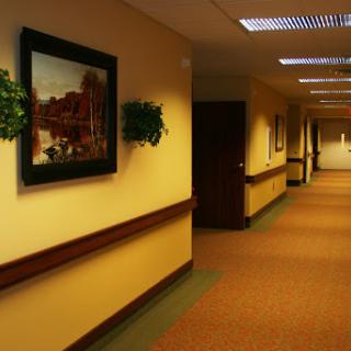 A well-lit hallway featuring artwork and decorative plants.