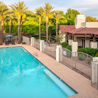 A serene view of a pool surrounded by lush palm trees, perfect for relaxation and escape.