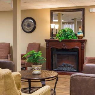 A cozy living room featuring a fireplace, comfortable seating, plants, and a large mirror.