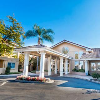 A sunny day view of a building entrance with palm trees and clear sky.