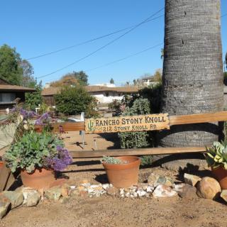 A garden with potted plants and a wooden sign under a sunny sky.