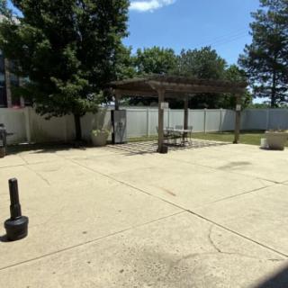A sunny patio area with a pergola, surrounded by trees and a white fence.