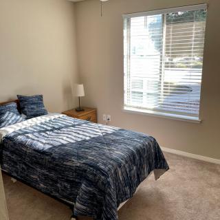 A minimalist bedroom with a bed, lamp, and window.