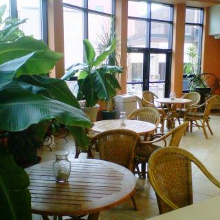 A cozy indoor cafe with wooden tables, chairs, and lush green plants.