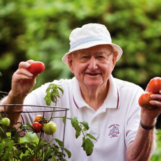 An elderly man proudly displays his fresh tomatoes from the garden.