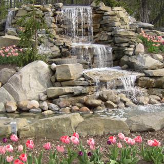 A serene garden waterfall surrounded by rocks and blooming pink tulips.