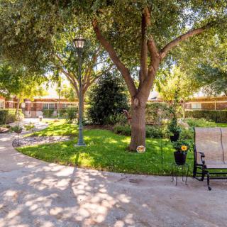 A peaceful garden area with lush greenery, featuring a bench under the shade of large trees and a sunlit pathway.
