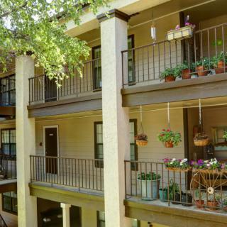 A view of apartment balconies adorned with various plants and hanging baskets.