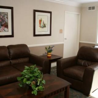 A cozy living room with brown leather furniture and decorative plants.