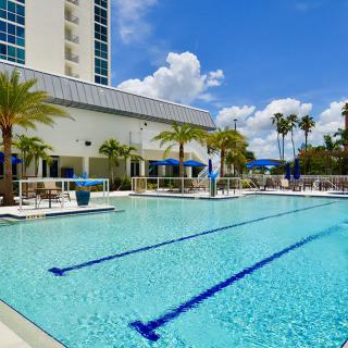 An outdoor swimming pool surrounded by palm trees and lounge chairs on a sunny day.