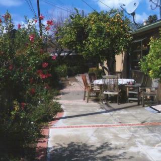 A sunny garden patio with a set of outdoor furniture surrounded by trees and flowers.