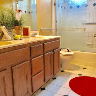 A cozy bathroom featuring wooden cabinets and a red circular rug.