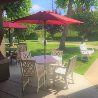 A sunny patio area with a table, chairs, and red umbrellas in a garden setting.