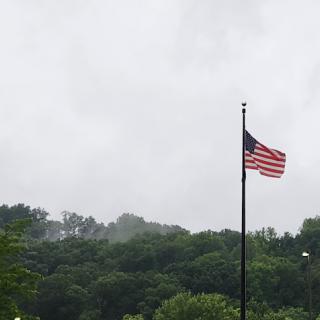 An American flag waving gently against a backdrop of lush greenery on a cloudy day.