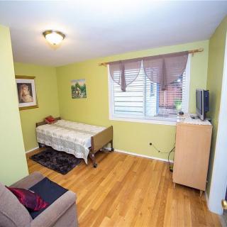 A cozy bedroom with green walls, featuring a single bed and hardwood flooring.