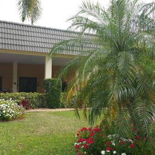 A tropical garden with a house in the background, featuring lush greenery and colorful flowers.
