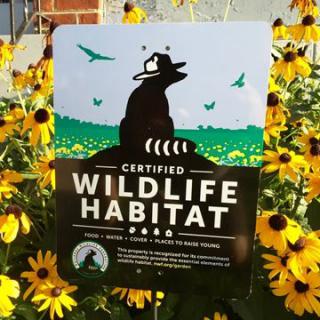 A Certified Wildlife Habitat sign surrounded by vibrant yellow flowers.