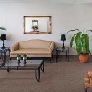 A cozy living room with a beige sofa, mirror, and indoor plants.
