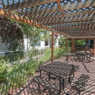 An outdoor seating area under a pergola, surrounded by lush greenery.